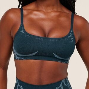 Gymshark Storm Seamless Sports Bra